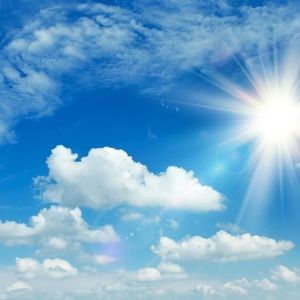 Meet your Posher, Brayden